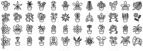 Set Of Linear Botany Houseplants Isolated Silhouette Solid Icons With Houseplant,Plant,Species,Botany,Flower Vector Icon Set Linear Pictogram Pack #923728383