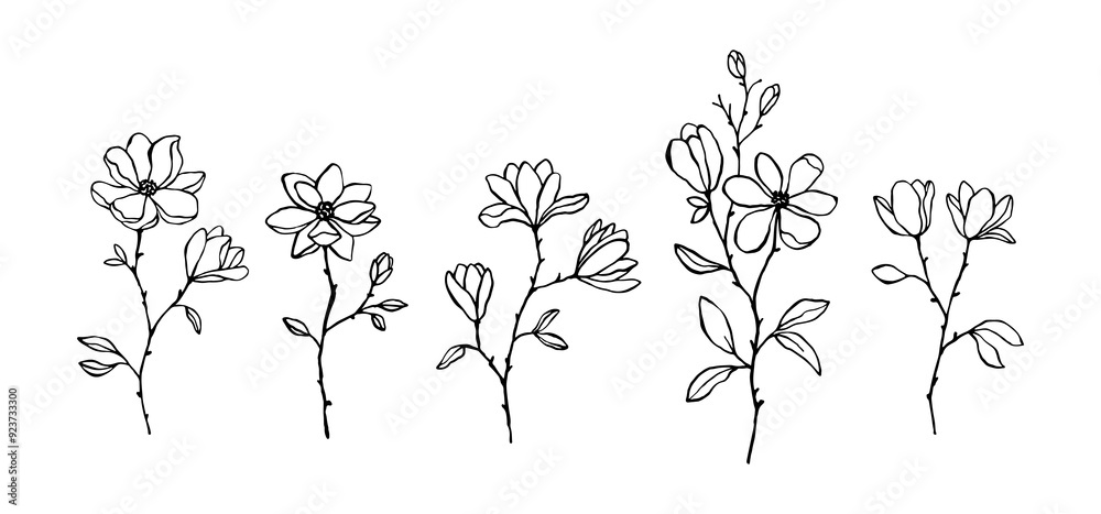 Fototapeta premium Set of line art vector magnolia branches and buds isolated on white. Elegant hand drawn floral elements for decorative design, prints, wedding invitation. Lovely linear magnolia flowers. Botanical set