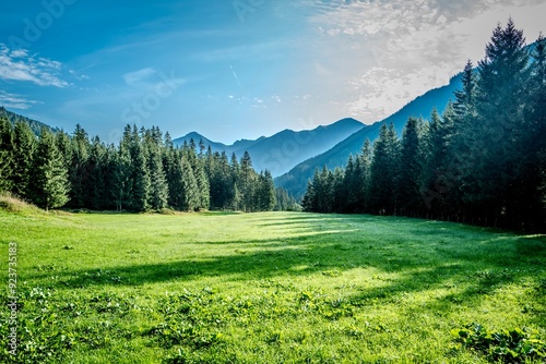 Vászonkép Alpine meadow in the Austrian Alps