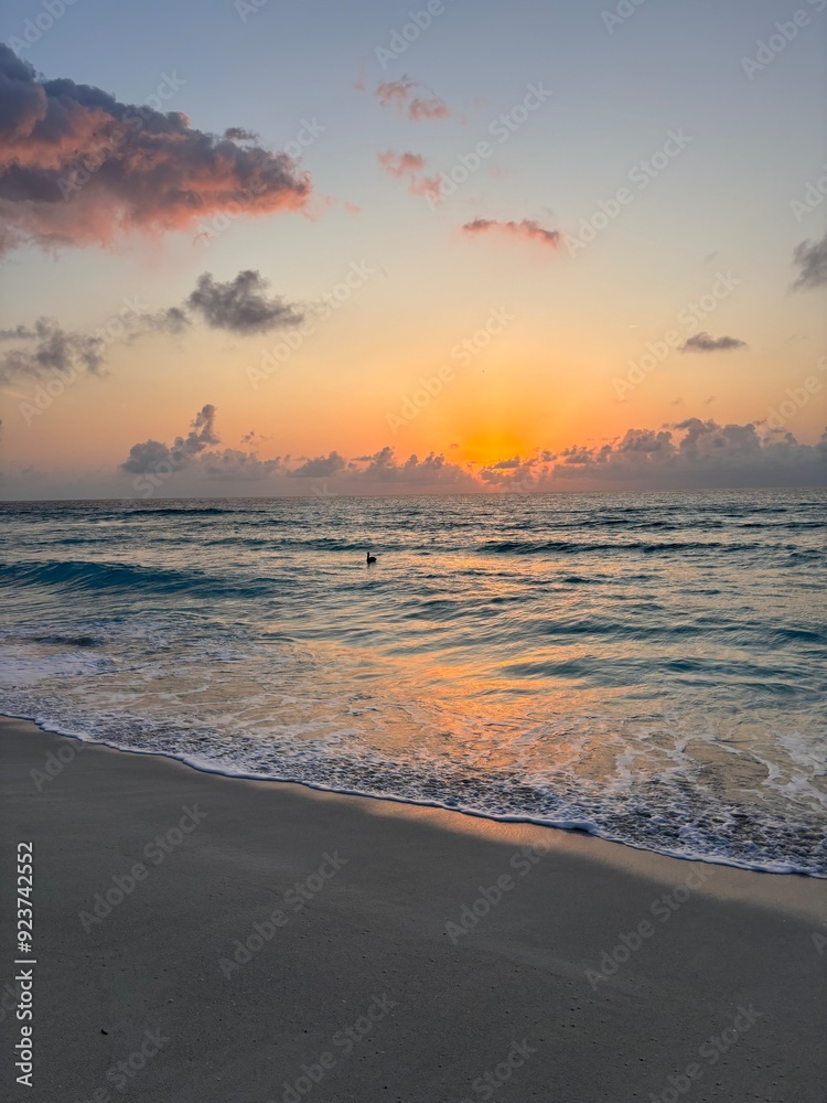 Fototapeta premium sunset on the beach