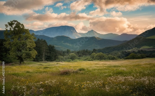 landscape in the morning