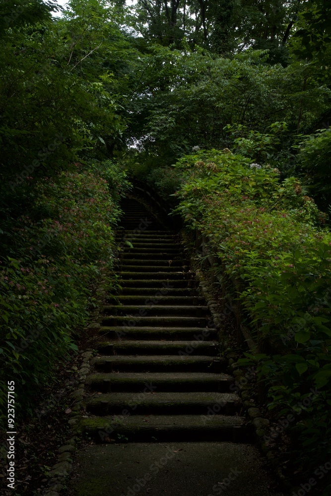 Obraz premium 真夏の舞岡公園の風景 神奈川県戸塚区舞岡町