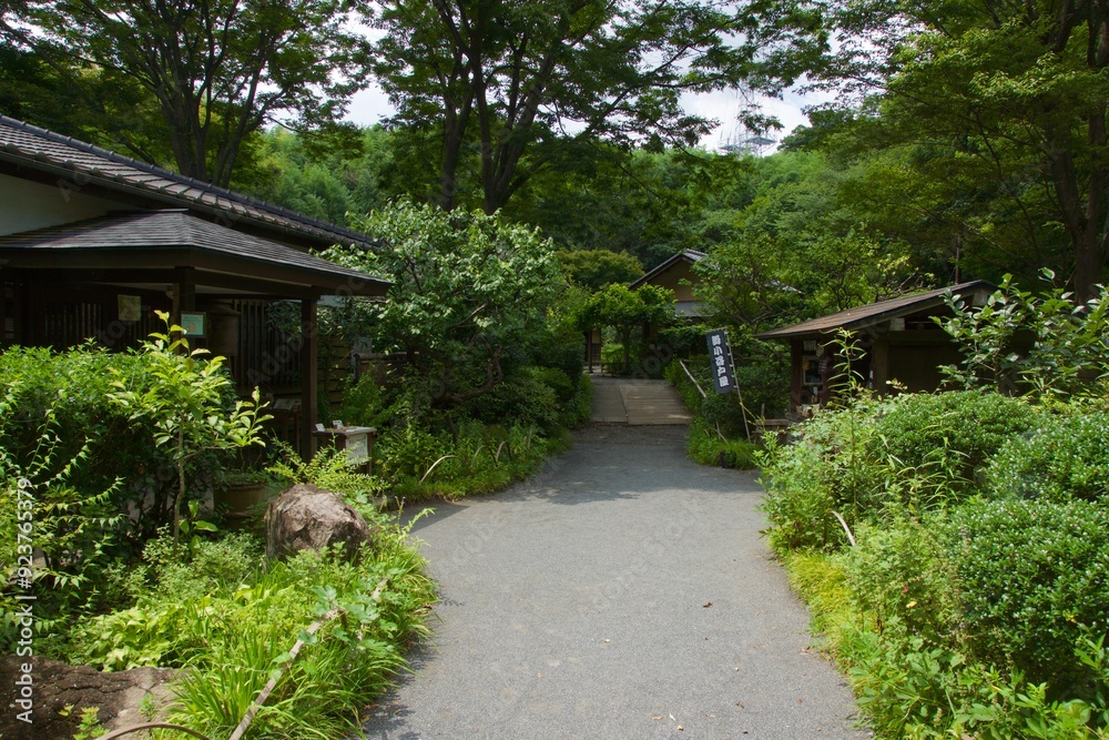 舞岡公園の景色 真夏 神奈川県戸塚区舞岡町 舞岡公園の景色 真夏 神奈川県戸塚区舞岡町