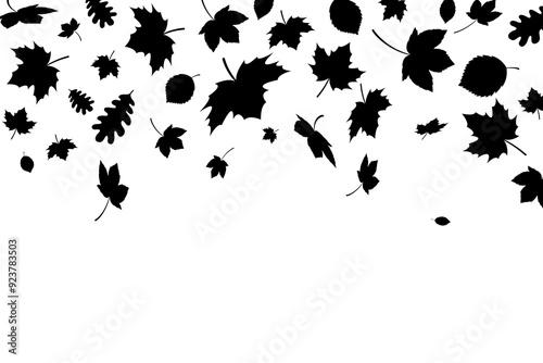 Autumn leaves falling silhouettes background. Black fall leaves random falling on white background