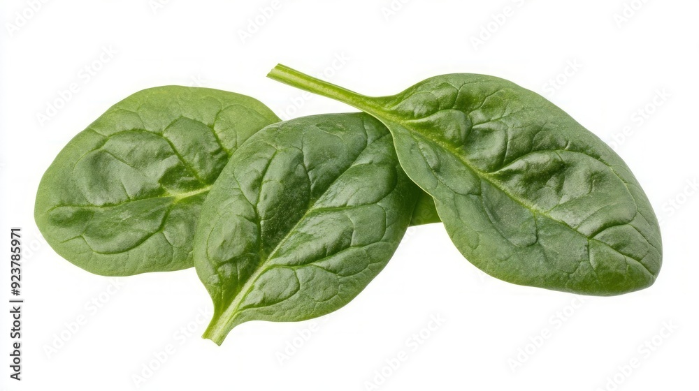 Fresh green spinach leaves with crisp detail, isolated on white background, healthy vegetable Fresh green spinach leaves with crisp detail, isolated on white background, healthy vegetable