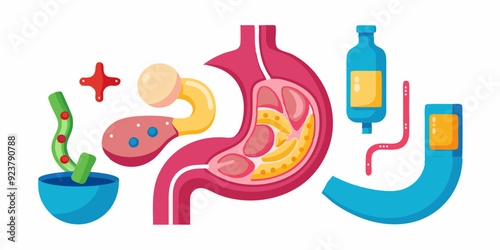 3D stomach vector set, esophagus icon kit, anatomy medical illustration, human internal organ. Sick abdomen, acid digestive ache, gastric digestive system on white. 3D stomach pain biology clipart