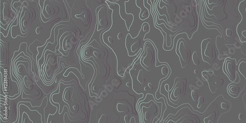 Abstract topographic map background geographic line map with elevation assignments. Topographic Background. Topography Map. Gray and multi Seamless Pattern. Topographic map. Line topographic map. 