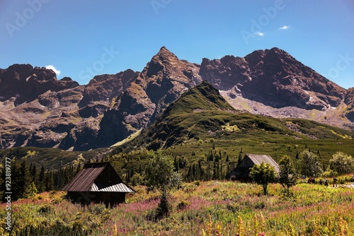 Fototapeta Naklejka Na Ścianę i Meble -  Hala Gąsienicowa - góry Tatry