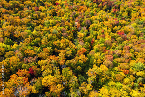 Drone Point of View Looking Down on Trees with Early Autumn Colors - Northeast USA - Vermont