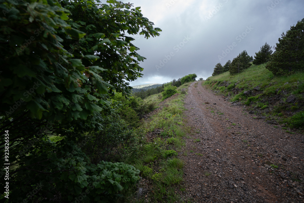 Fototapeta premium The mountain meadows of the Croatian mountains on a cloudy day.