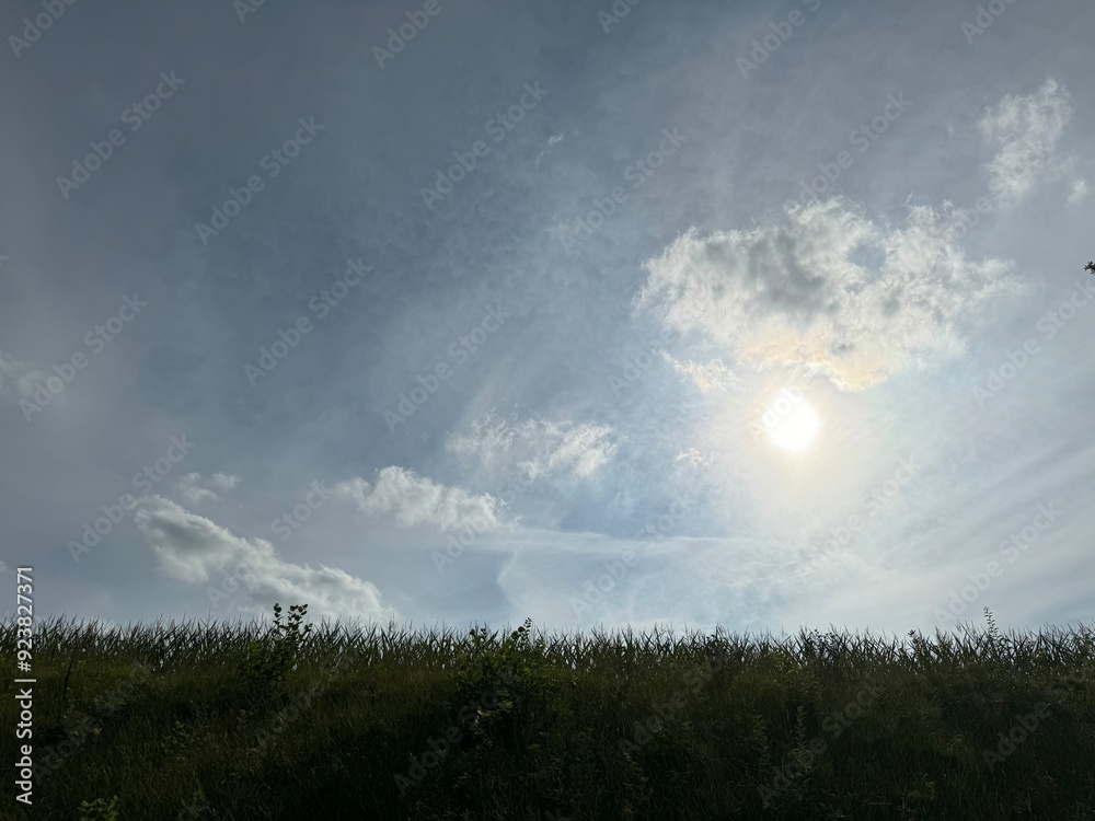 Fototapeta premium sun rays and clouds