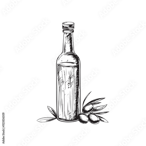 Olive oil bottle vector design isolated on white background - Black and white olive oil bottle