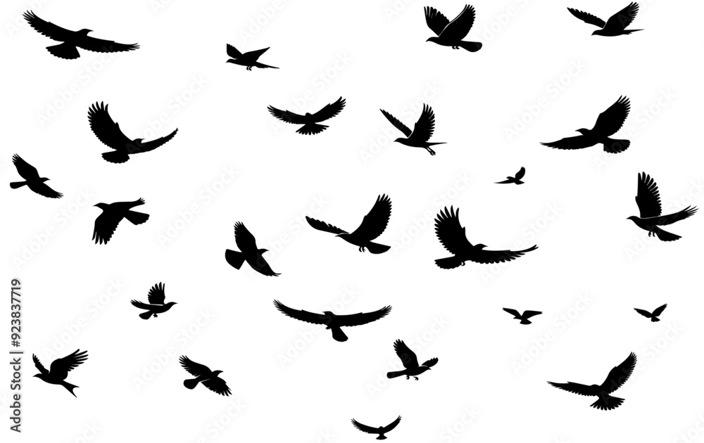 Set of silhouettes of flying birds in a flat style Vector illustration Set of silhouettes of flying birds in a flat style Vector illustration