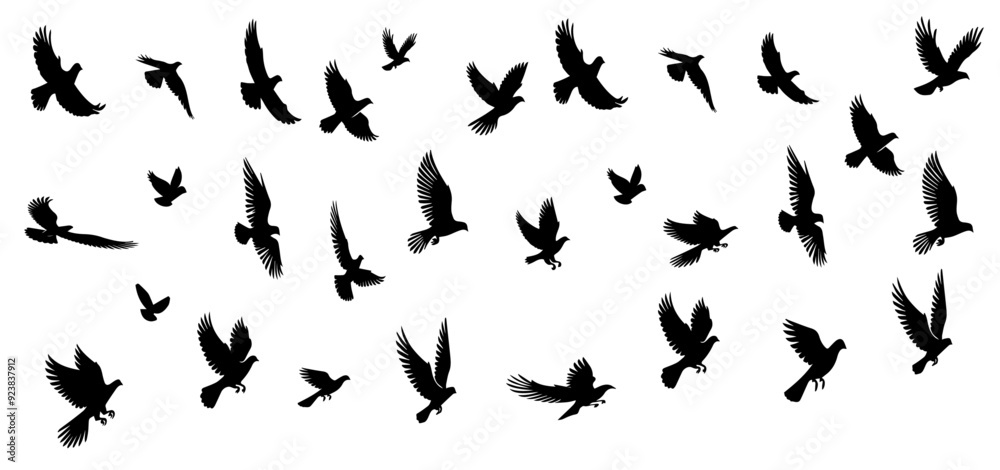 Flock of flying birds Flock of flying birds