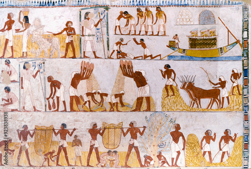 Konstfotografi Agricultural scenes from the tomb of Menna at valley of the Nobles