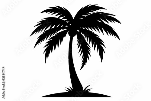 A palm tree silhouette vector illustration