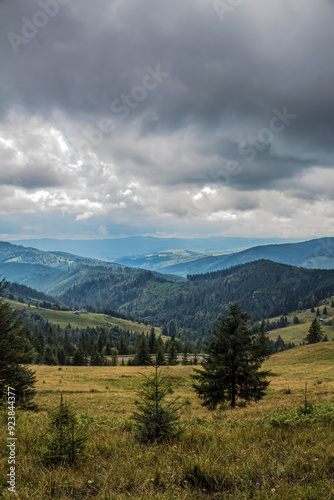 Landscapes - Forest - Europe, Romania, Suceava region