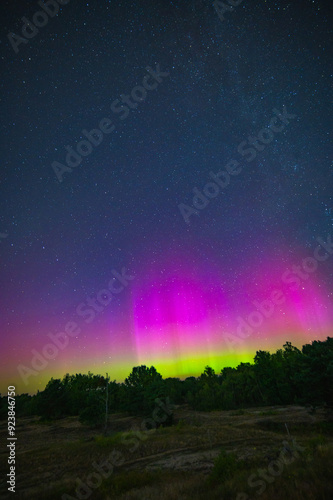 Wallpaper Mural Colorful Aurora Borealis with stars over dark trees in Berlin during the Meteor Shower Perseids, Germany. Northern Lights or Polar Lights over the silhouette of a landscape with trees. Torontodigital.ca