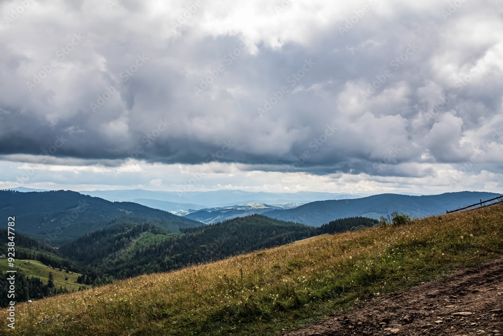 Fototapeta premium Landscapes - Forest - Europe, Romania, Suceava region