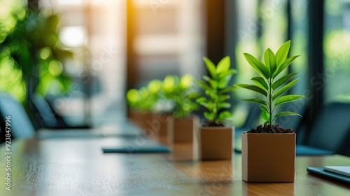 A table with potted plants in small boxes