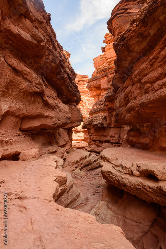 Experience the breathtaking natural beauty of Cathedral Wash Slot Canyon in Arizona, USA. This stunning landscape features towering red rock walls and narrow ledges, creating a picturesque scene.
