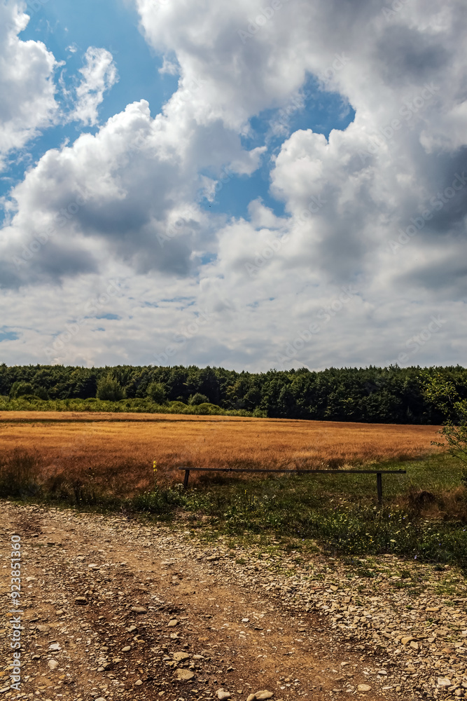 Obraz premium Landscapes - Forest - Europe, Romania, Suceava region