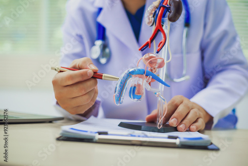 Urologist measures penis size