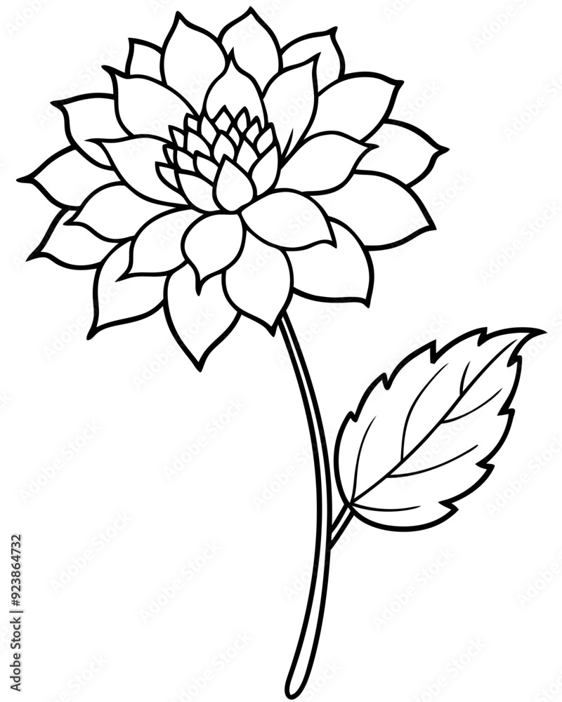 Scabiosa Coloring Page Outline Black Line Vector Illustration for SVG