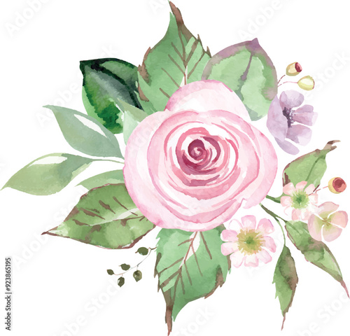 Set of purple, red and pink roses watercolor vector bouquets isolated on white, greenery florals arrangements, blush pink antique rose, peony, ranunculus bouquets, watercolor hand drawn vector 