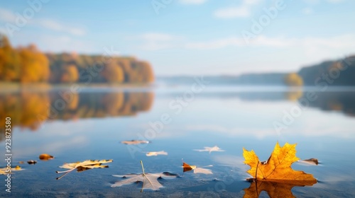 A leaf is floating on the surface of a lake