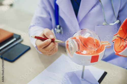 An ophthalmologist explains eye diseases using an eye model at an examination table in a hospital examination room. Glaucoma, cataracts, diabetic retinopathy.