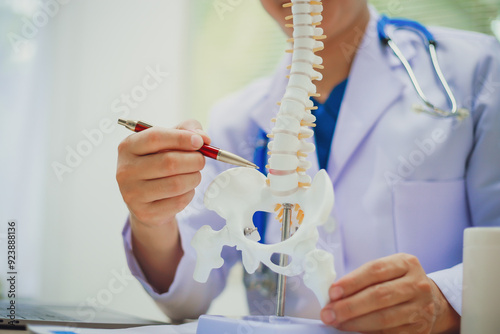 Orthopedist and surgeon using model or anatomical model of spine to educate patient about back pain on white background in examination room. Spinal stenosis or back pain. Medical.
