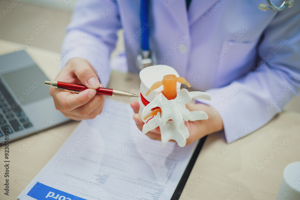 Orthopedist and surgeon using model or anatomical model of spine to ...