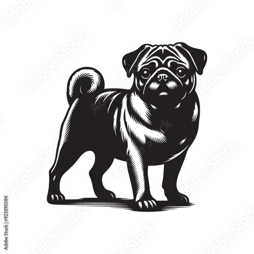 Pug Dog Illustration silhouette vector