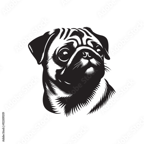 Pug Dog Illustration silhouette vector