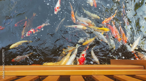 Fische, Kois im Teich, Goldfische