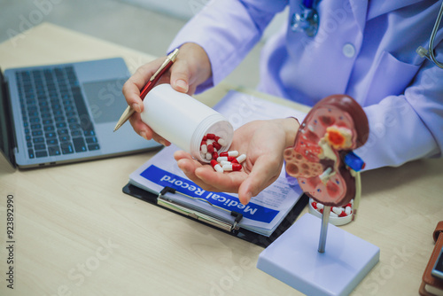 Tableau sur toile Doctor holding kidney medicine model