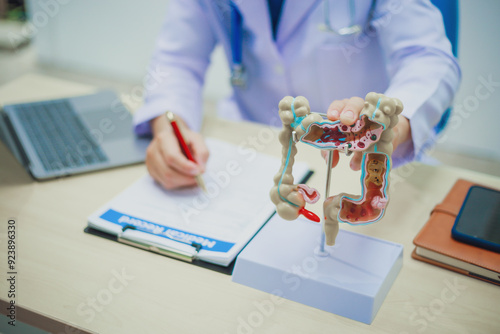 Colon surgeon holding anatomical model for diagnosis and treatment in hospital, intestinal diseases, stomach ulcers and intestinal modia.