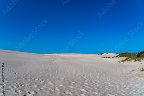 Fototapeta Naklejka Na Ścianę i Meble -  views around Skagen on the north tip of Denmark