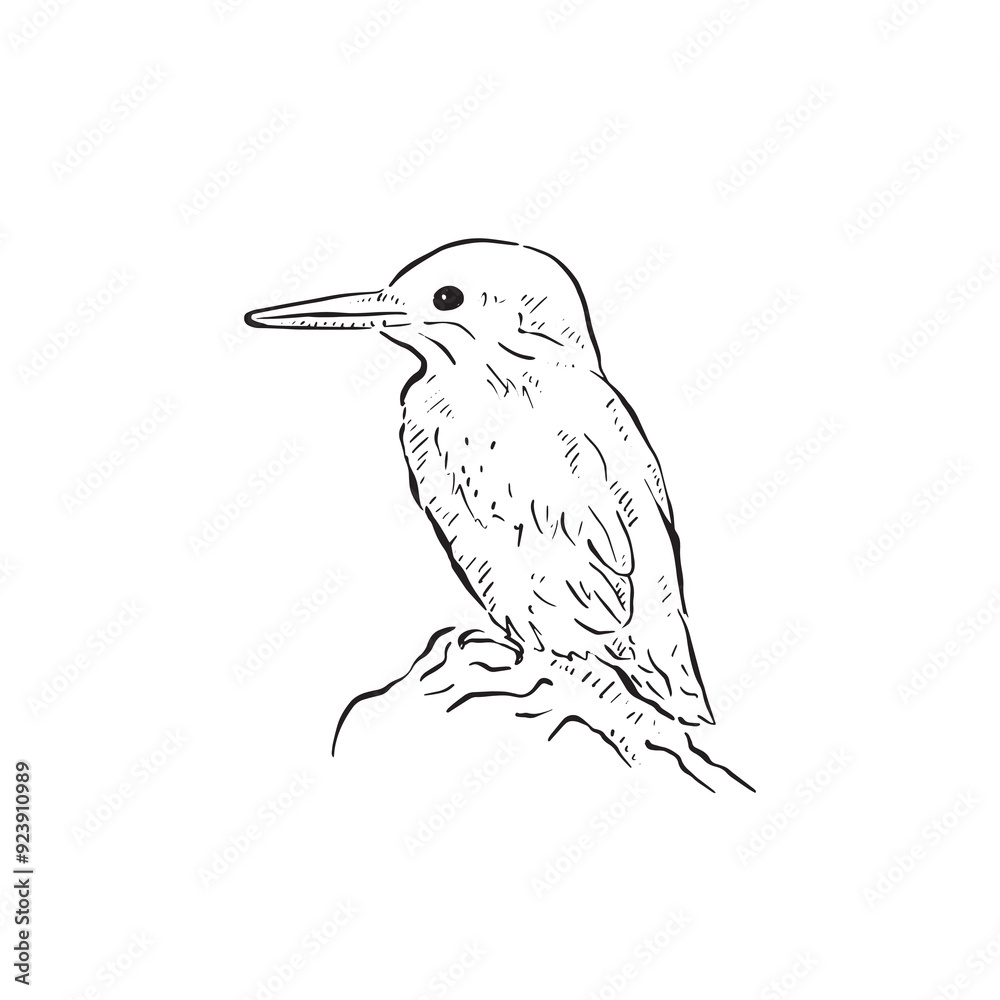 Obraz premium A kingfisher drawing in black and white. Drawn by hand as a vector. A bird sitting on a rock, side profile facing left. 