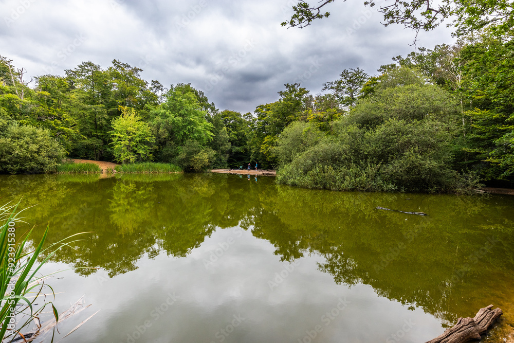 Fototapeta premium Blackweir Pond or better known as the 'Lost Pond', is often considered Epping Forest's most picturesque and tranquil - a perfect spot for quiet contemplation.