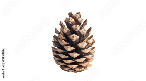 Cone transparent background