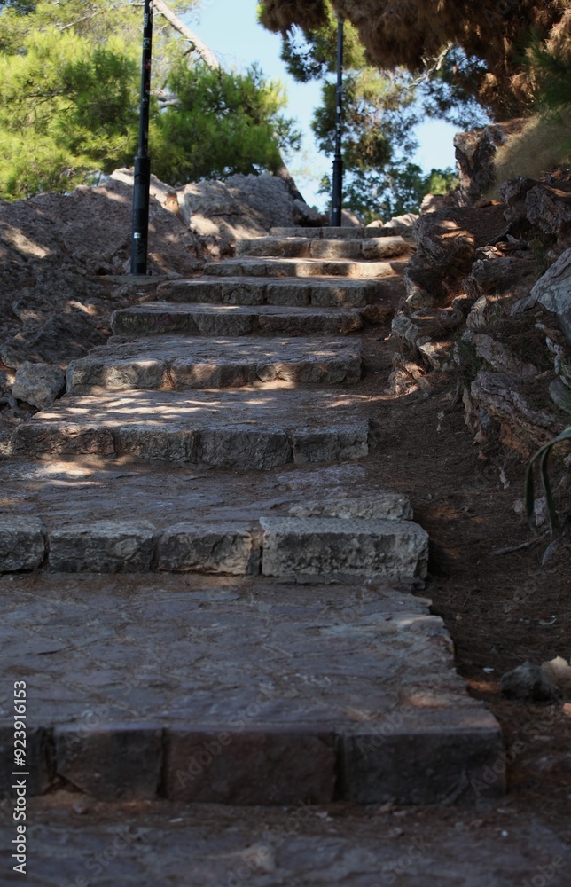 Stone path, sunlight, greenery, rock Stone path, sunlight, greenery, rock