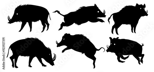 a collection of wild boar illustrations in various positions
