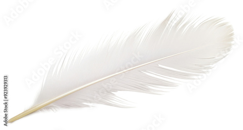 PNG White feather white background lightweight accessories.