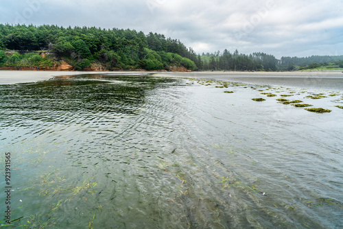 Moclips River Landscape photo