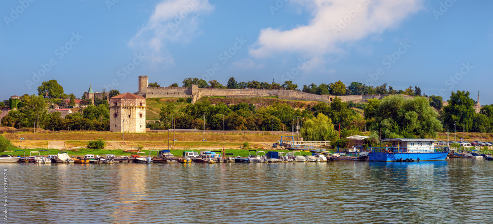 Obraz premium View of the ruins of Kalemegdan Fortress.from the confluence between the Sava and Danube rivers, Belgrade, Serbia