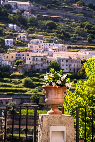 Ravello, Italy:A beautiful terracotta pot brimming with white flowers overlooking a picturesque village set against lush green mountains. Captures the essence of tranquil rural living.