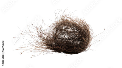 Obraz na płótnie tumbleweed transparent background w salonie