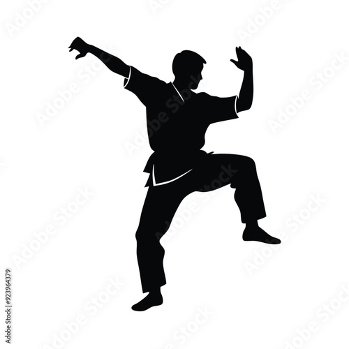 a Male martial arts kung fu man standing posing silhouette vector. isolated white background 